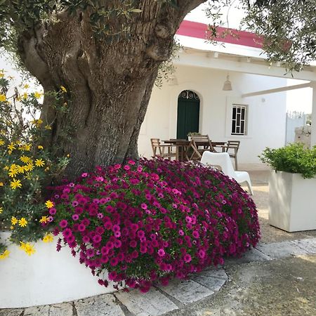 Dimora Villa Polignano a Mare Buitenkant foto