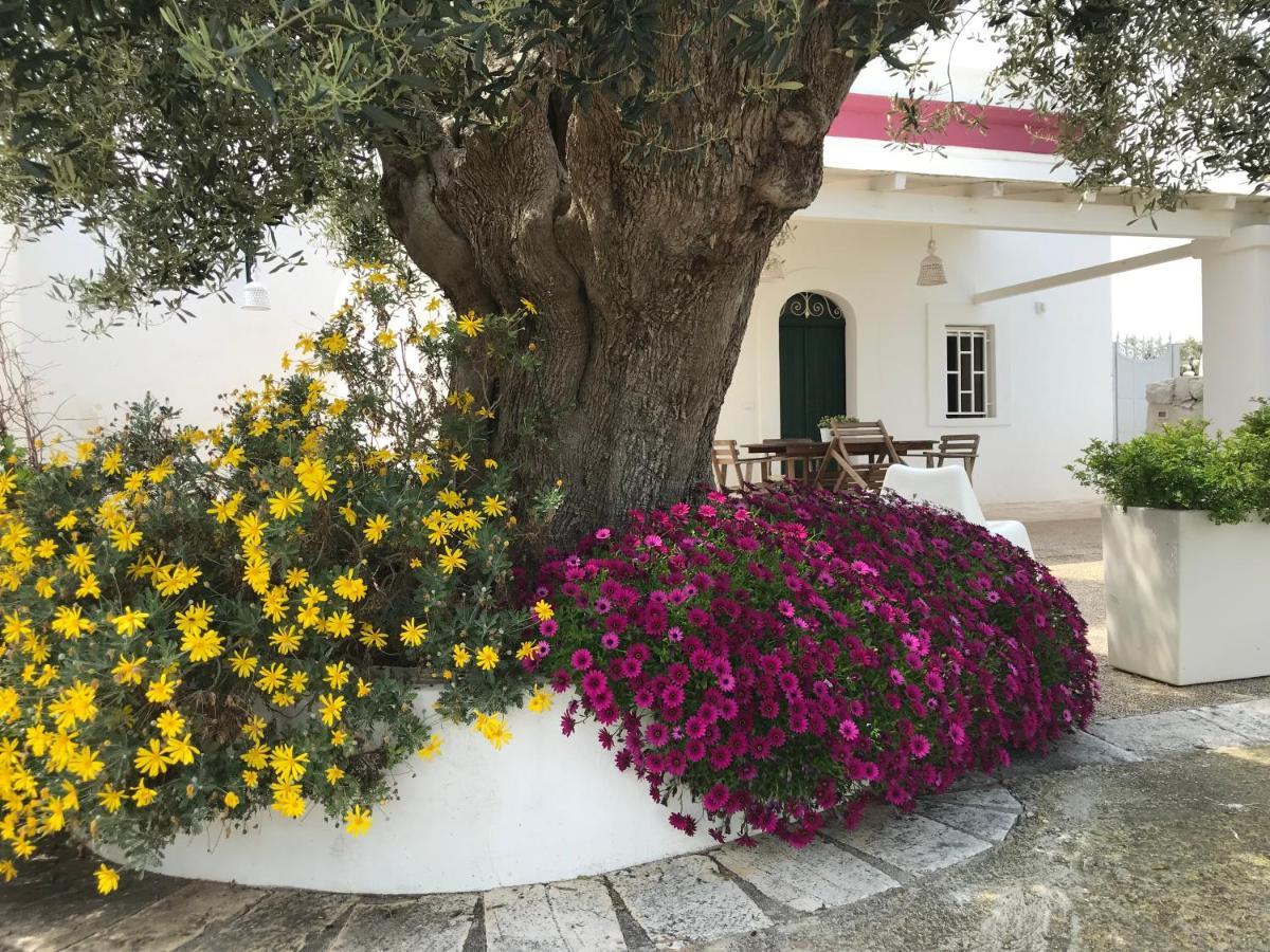 Dimora Villa Polignano a Mare Buitenkant foto