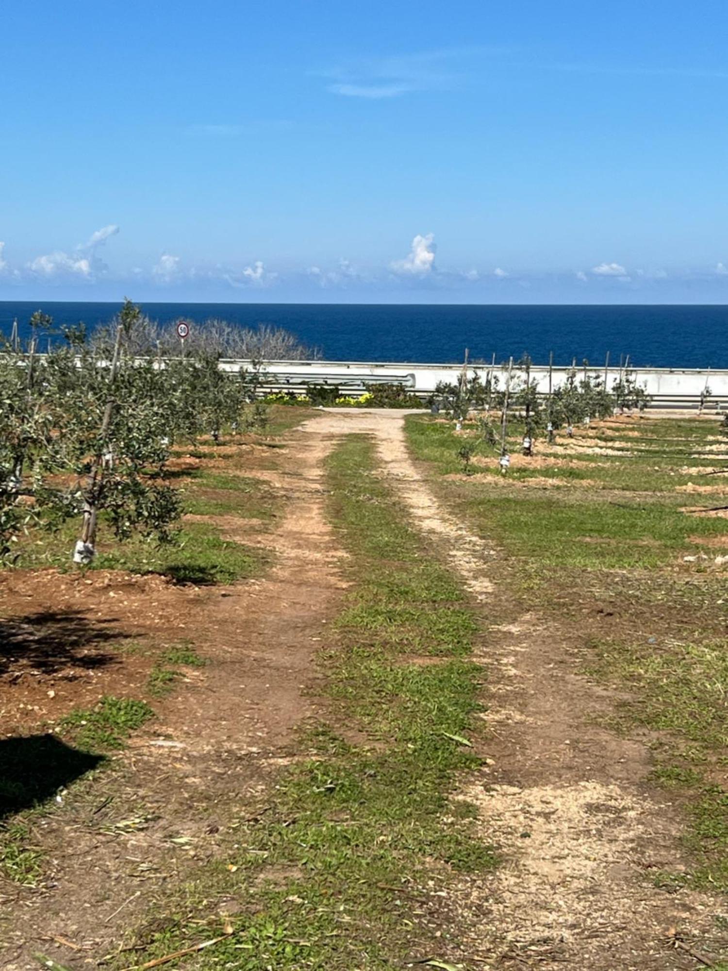 Dimora Villa Polignano a Mare Buitenkant foto