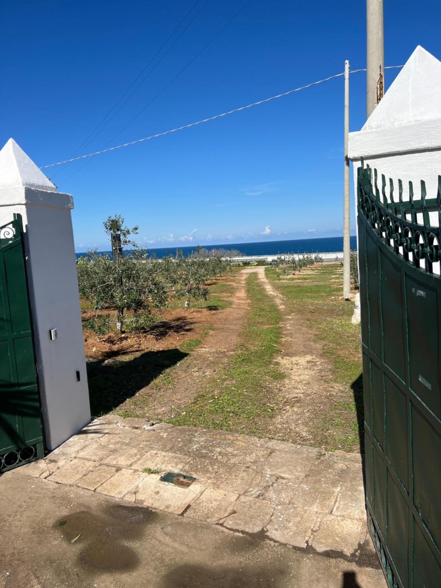 Dimora Villa Polignano a Mare Buitenkant foto