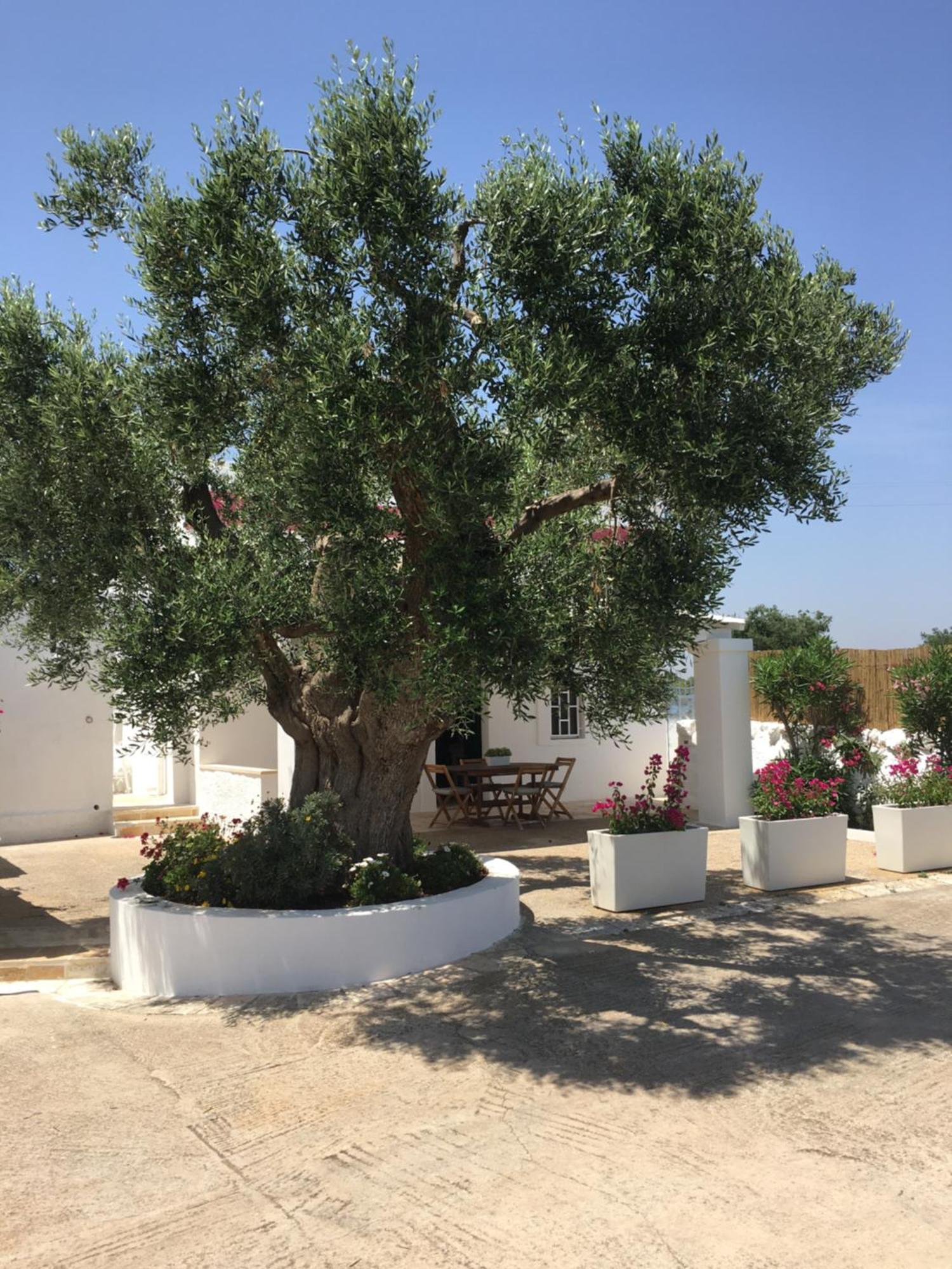 Dimora Villa Polignano a Mare Buitenkant foto