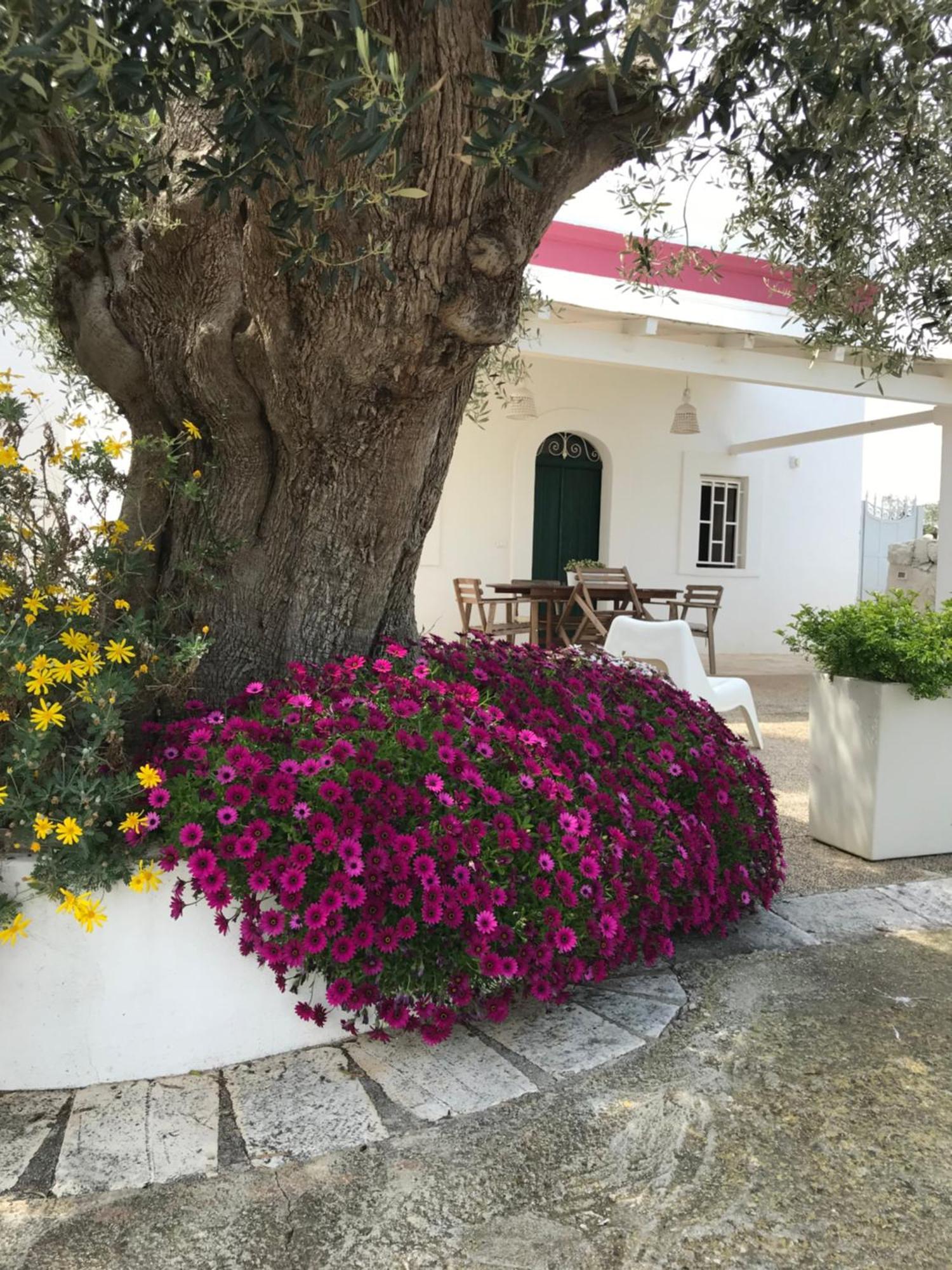 Dimora Villa Polignano a Mare Buitenkant foto