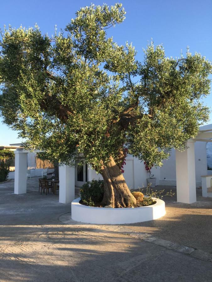 Dimora Villa Polignano a Mare Buitenkant foto